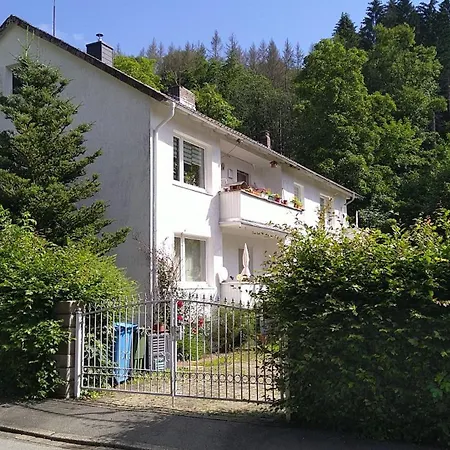 In Steina Mit Terrasse Apartment